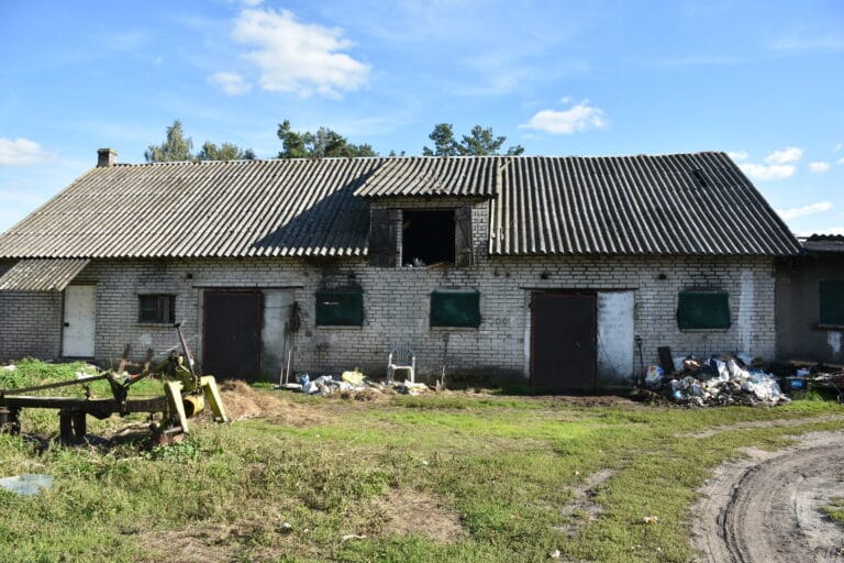 47-letni właściciel gospodarstwa usłyszał zarzut znęcania się nad zwierzętami. Grozi mu kara 3 lat więzienia