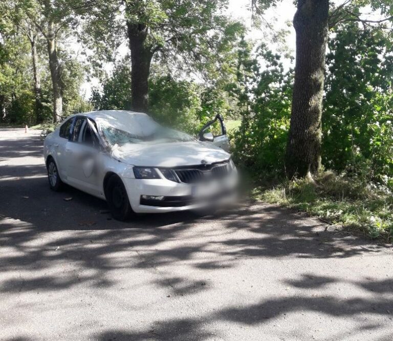 Drzewo spadło na jadące auto. Nie żyje przedstawiciel firmy kurierskiej