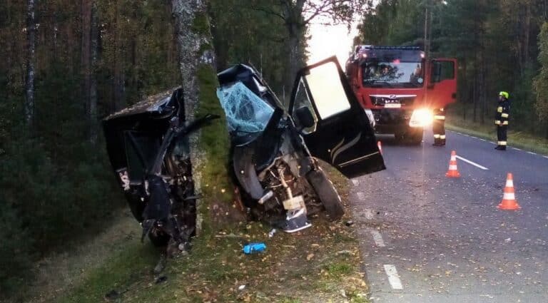 19-letni kierowca Forda wjechał czołowo w  drzewo