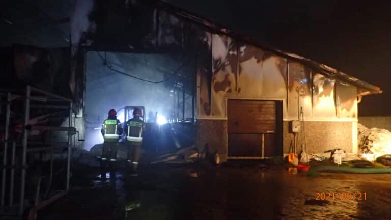 Zginęło niemal 150 sztuk bydła. Pożar obory