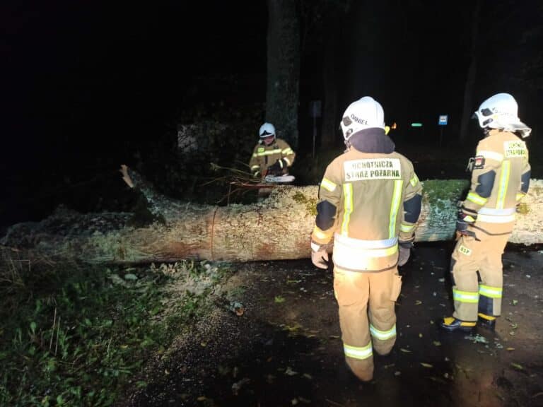 Strażak ranny podczas usuwania skutk&oacute;w wichury