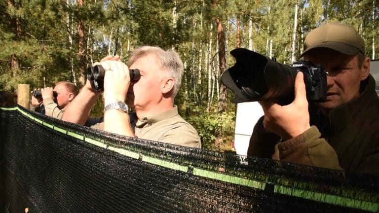 Leśnicy wypuścili do lasu cietrzewie wyhodowane w ośrodku