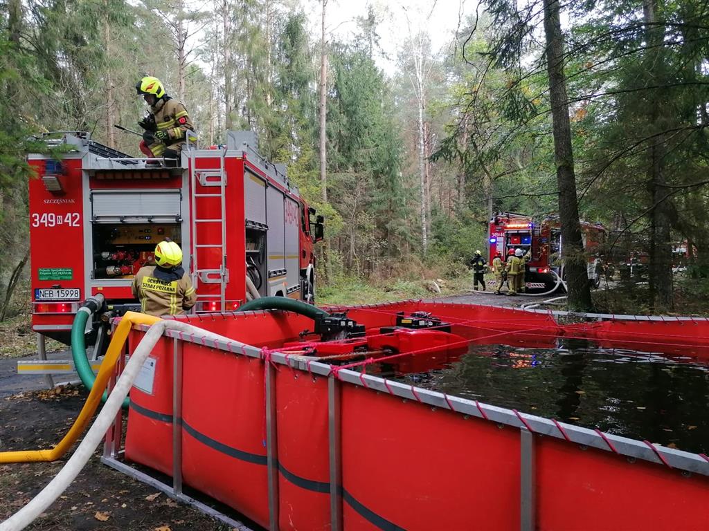 Strażackie ćwiczenia w lesie w okolicach Młynar straż pożarna Wiadomości