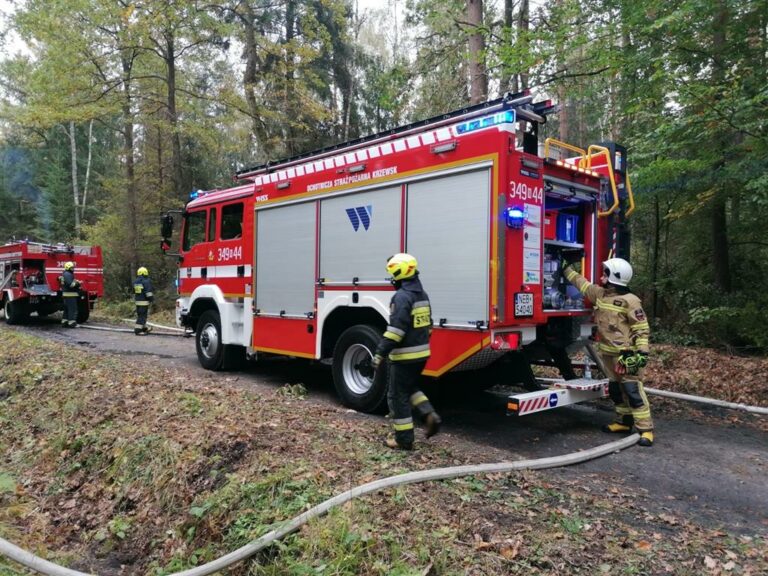 Strażackie ćwiczenia w lesie w okolicach Młynar