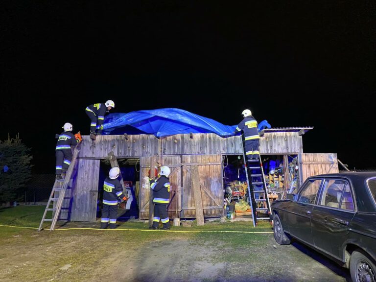 Warmińsko-mazurskie. 470 interwencji związanych ze skutkami wichury