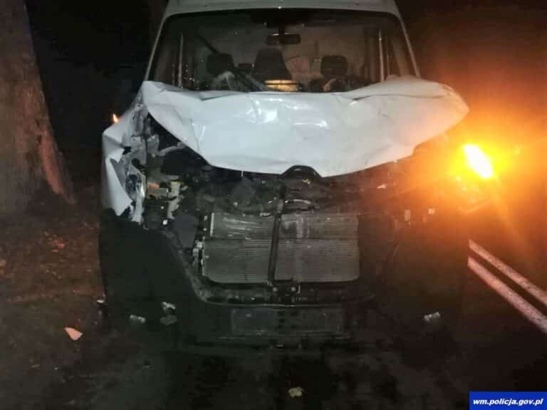 Kierujący ciężarowym renault zderzył się z łosiem