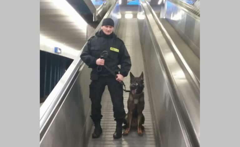 Pies Vox wytropił szajkę nieletnich złodziejaszków