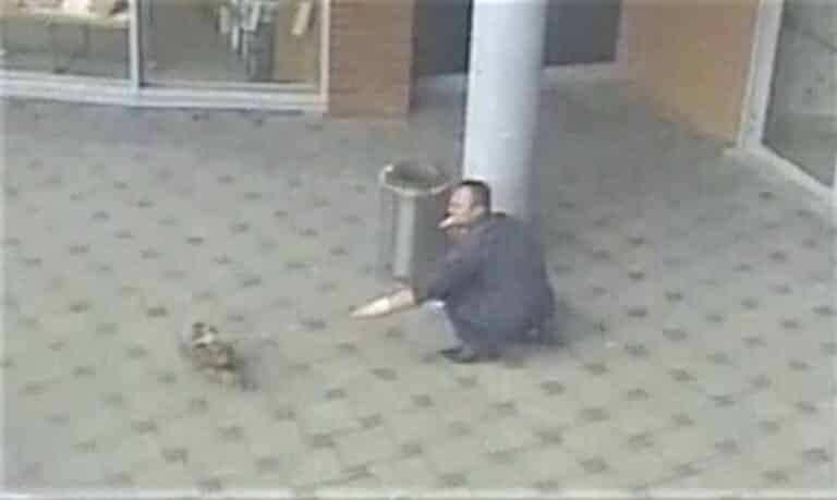 Mały piesek trząsł się ze strachu przed tym oprychem. Zobaczcie co zrobił