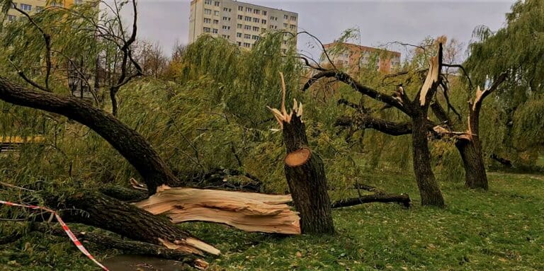 Nagranie olsztyńskiego filmowca z Parku Kusocińskiego wywołuje łzy w oczach