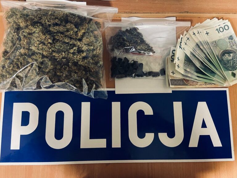Posiadacz narkotyk&oacute;w zatrzymany. Marihuana nie trafi na czarny rynek