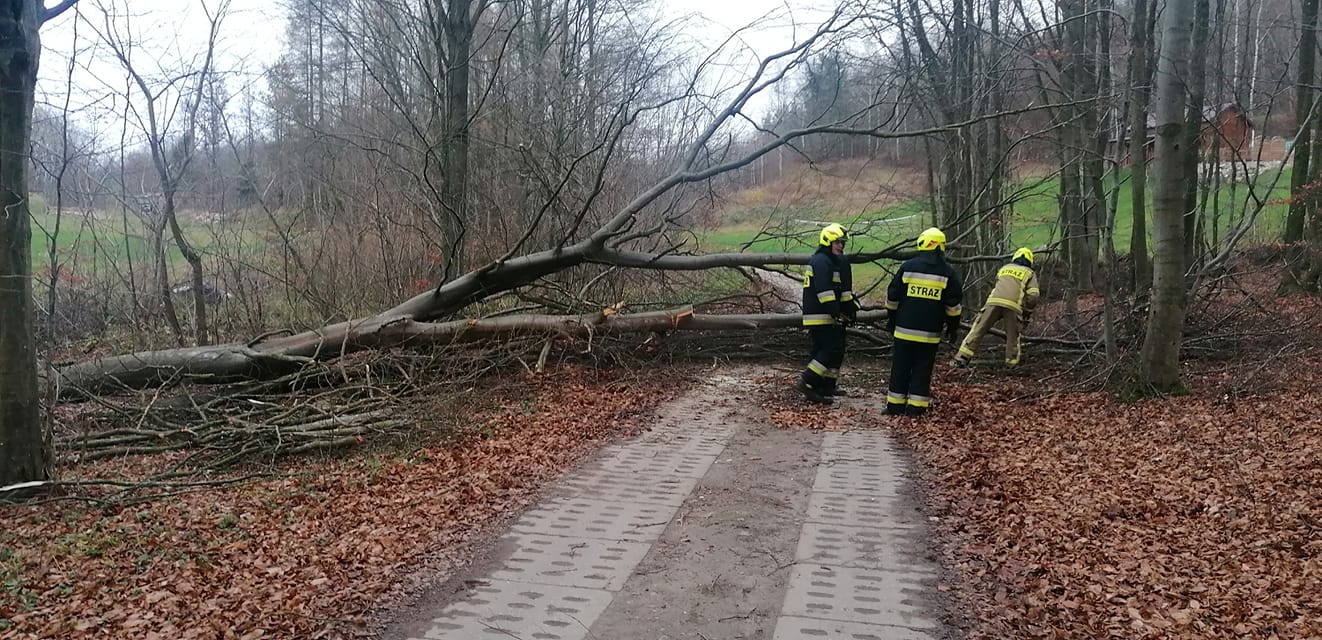 Ponad 45 interwencji strażaków przy usuwaniu wiatrołomów pogoda Wiadomości, Olsztyn, zPAP