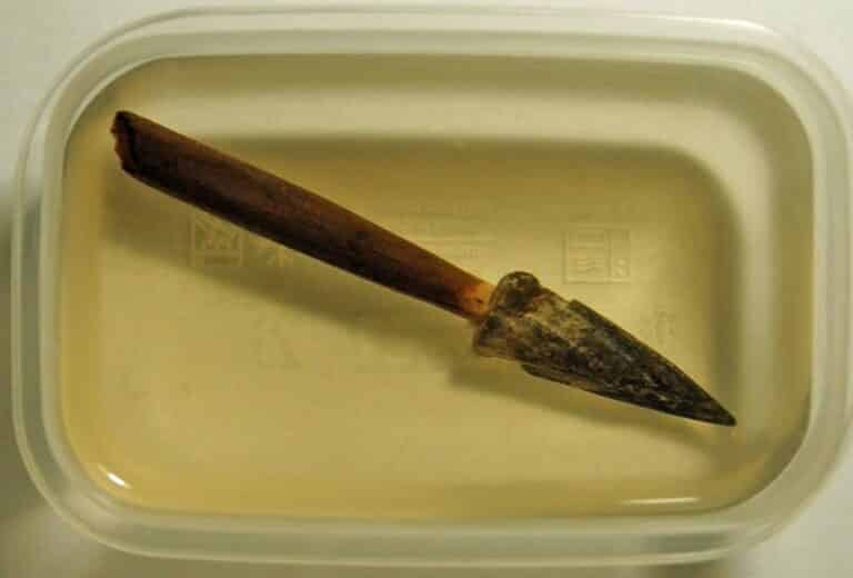 Pierwsze tego typu znalezisko na terenie Polski. Znalezisko na skalę międzynarodową