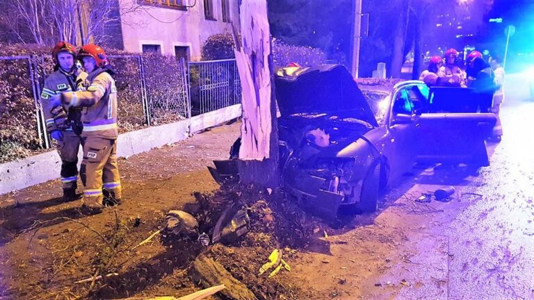 Na ul. Jagiellończyka Audi złamało drzewo