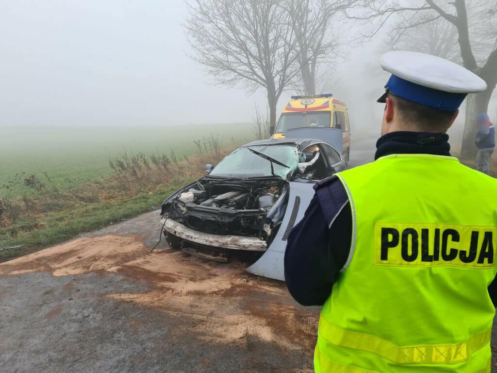 22-latka uderzyła BMW w drzewo wypadek Nowe Miasto Lubawskie, Wiadomości