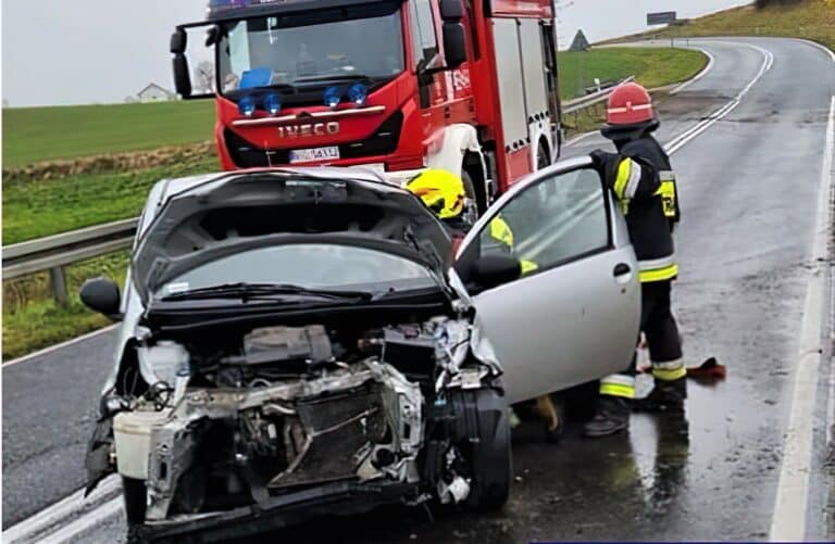 19-letnia dziewczyna wolała rozbić auto niż przejechać leśne zwierzątko