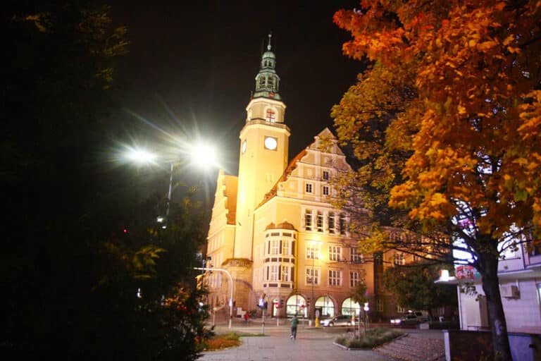 Współpracownik Prezydenta Grzymowicza pogryzł policjanta