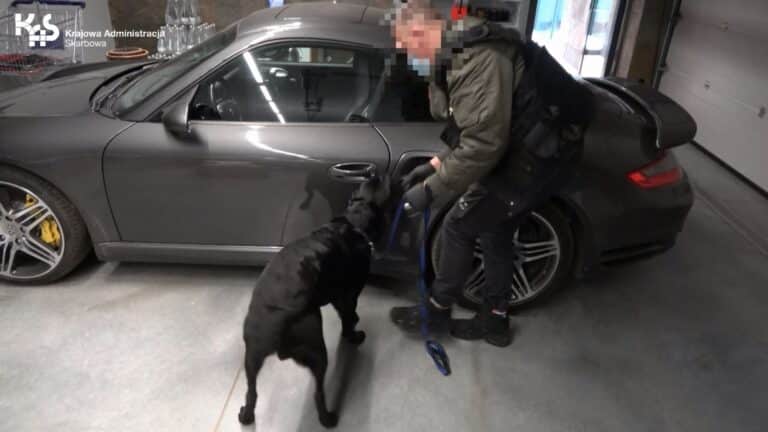 Z pałacu do więziennej celi. Na tym interesie robili fortunę