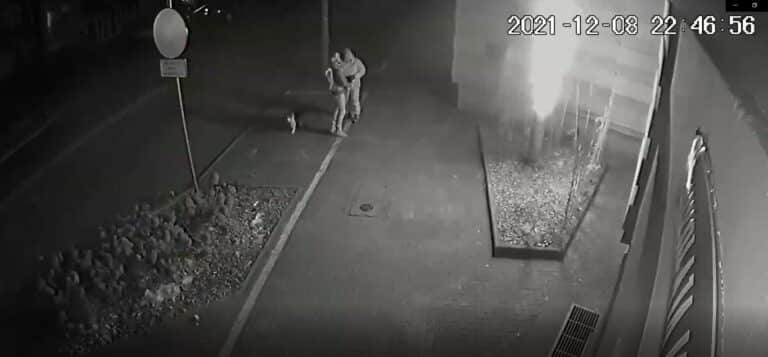 Palma poszła z dymem. Podpalaczy nagrała kamera monitoringu