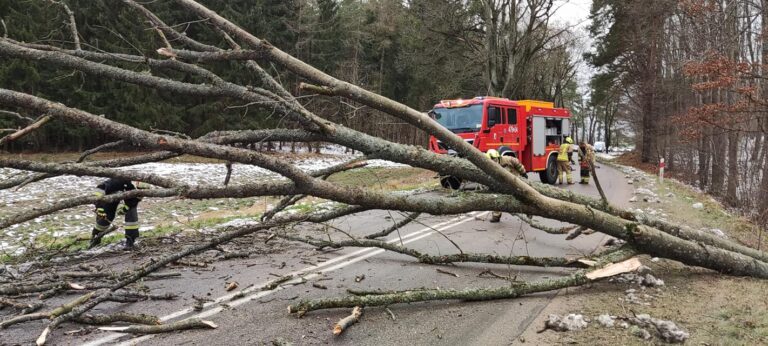 Mocny wiatr, strażacy notują pojedyncze zderzenia tym spowodowane