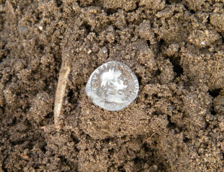 Archeolodzy odnaleźli kolejną część skarbu z Półwsi