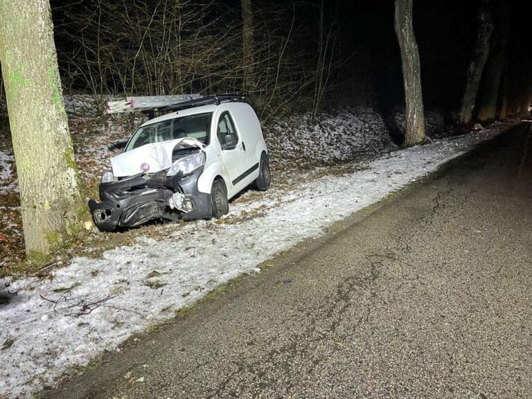 Kierowca Fiata stracił panowanie nad autem i uderzył w przydrożne drzewo