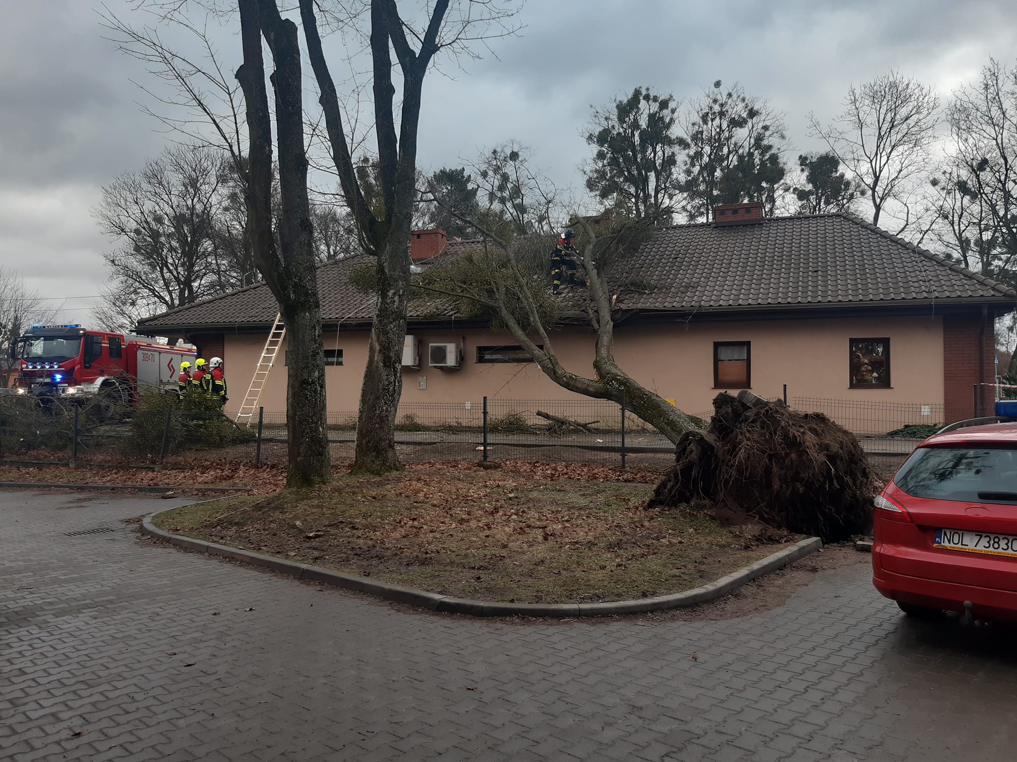 Warmińsko-mazurskie. Usunięto większość awarii związanych z silnym wiatrem pogoda Iława, Wiadomości