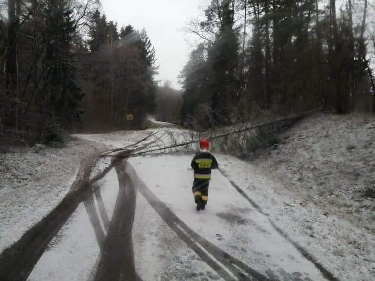 Gwałtowne zjawiska pogodowe. 130 interwencji strażak&oacute;w