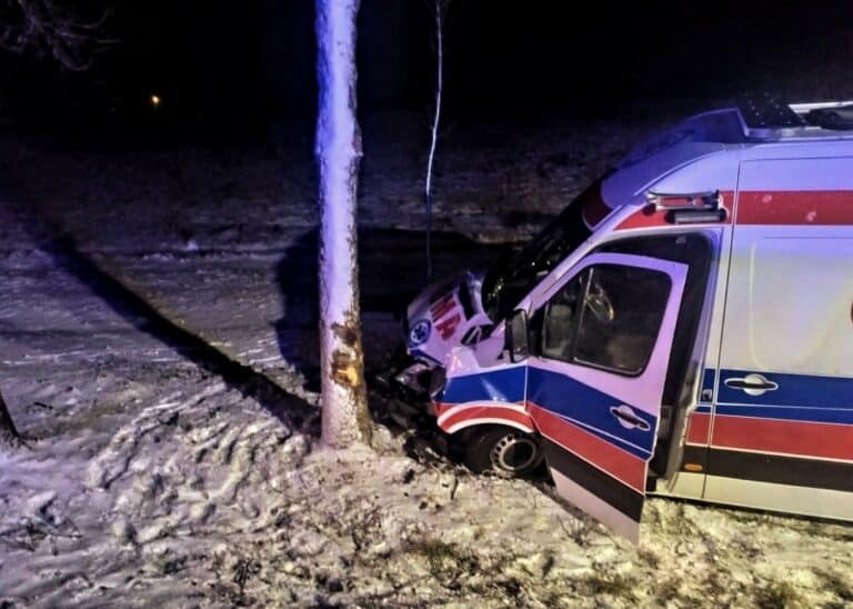 Karetka uderzyła w drzewo. Ratowniczka trafiła do szpitala