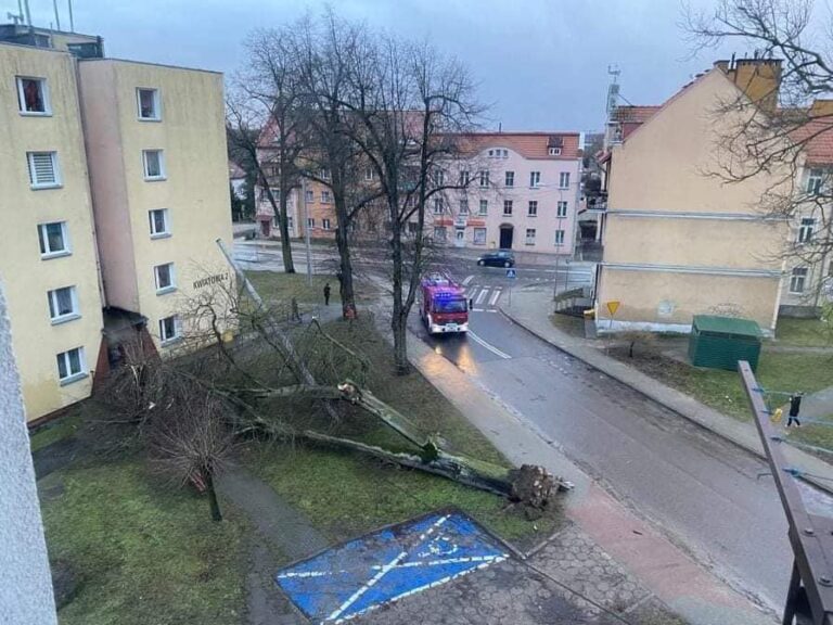 Warmińsko-mazurskie. Ponad 10,6 tys. odbiorc&oacute;w bez prądu wskutek silnego wiatru