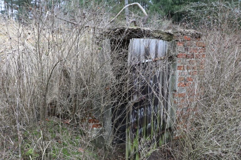 Głos pedofila sprzed 13 lat. Czy rozpoznajesz?