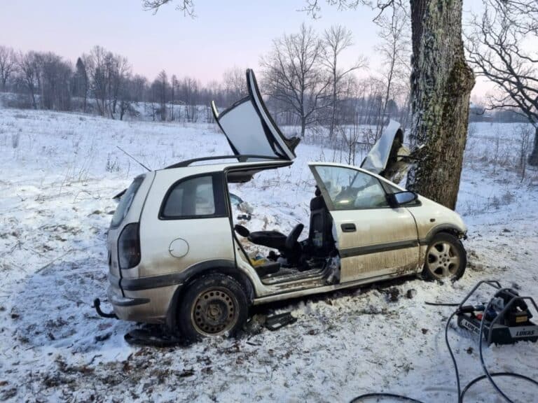 Kierujący oplem uderzył w sarnę, po czym zderzył się z drzewem