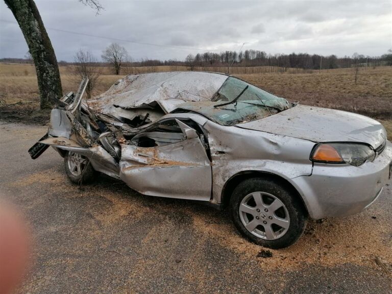 Blisko 1,1 tys. zdarzeń spowodowanych silnym wiatrem, cztery osoby w szpitalu