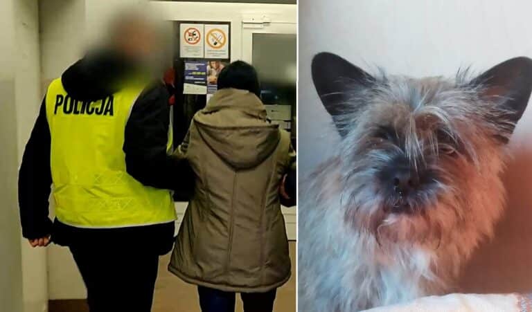 Policjant i kobieta w pobliżu kontenera na śmieci, obok zdjęcie szczeniaka.