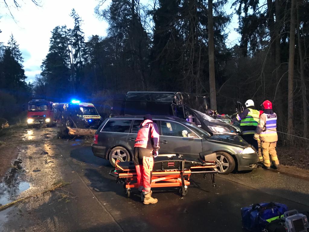 Na wyjeździe z Olsztyna drzewo spadło na jadący samochód wypadek Olsztyn, Wiadomości, zPAP