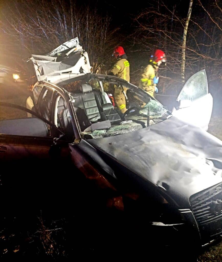 Zderzenie Audi z łosiem. 42-letni kierowca z powaznymi obrażeniami ciała wypadek Szczytno, Wiadomości
