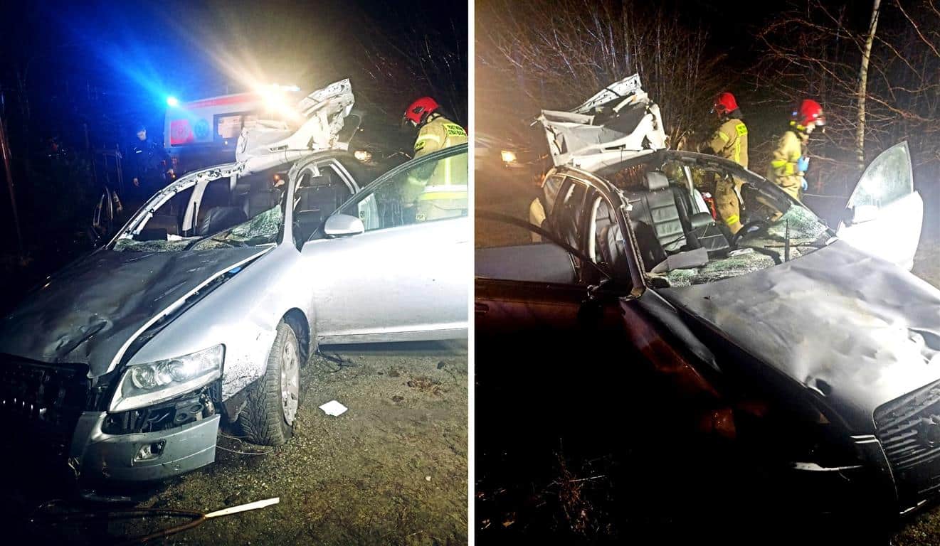 Zderzenie Audi z łosiem. 42-letni kierowca z powaznymi obrażeniami ciała wypadek Olsztyn, Wiadomości, zShowcase