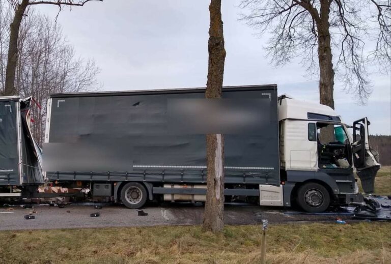 Wypadek drogowy z udziałem ciężar&oacute;wki i drzewem na drodze W507, służby na miejscu.