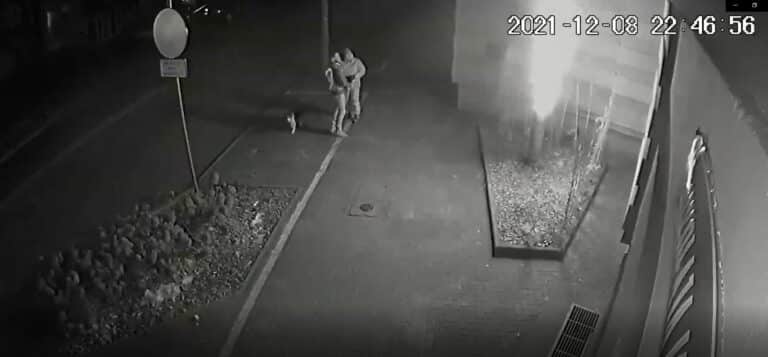 Podpalacze olsztyńskiej palmy skazani w zaledwie trzy miesiące