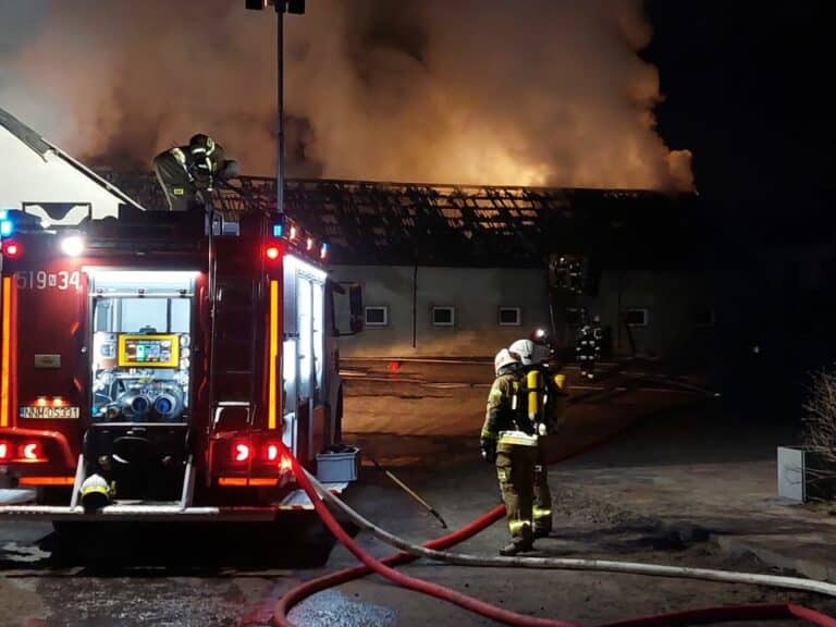 20 tysięcy pisklaków spłonęło żywcem