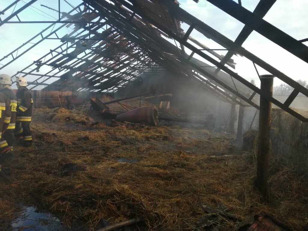 20 tysięcy pisklaków spłonęło żywcem pożar Nowe Miasto Lubawskie, Wiadomości