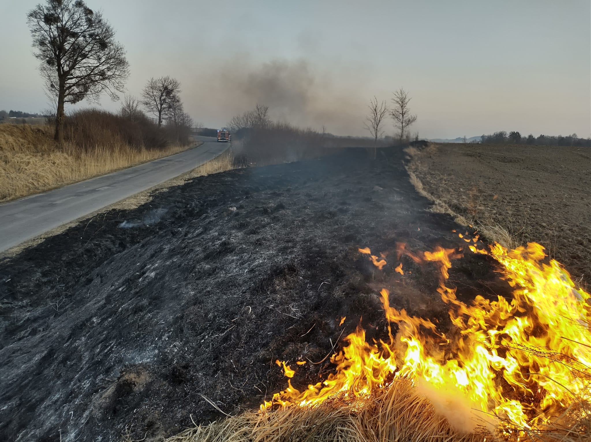 Od początku roku siedem ofiar śmiertelnych w pożarach traw pożar Olsztyn, Wiadomości, zShowcase