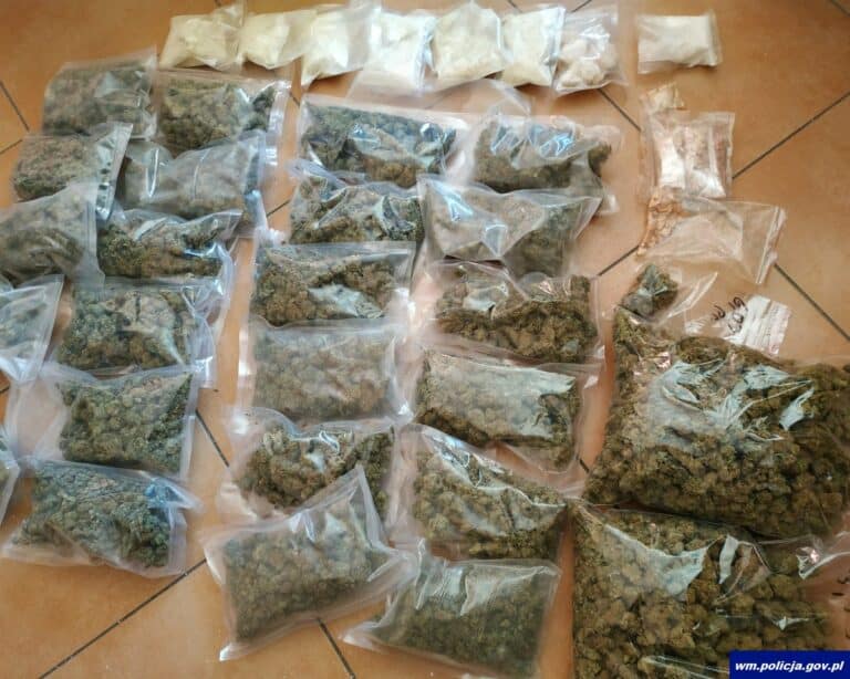 Narkotyki od mechanika. 34-latek w warsztacie miał nie tylko części samochodowe