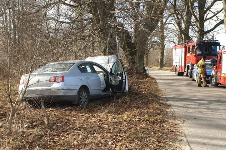 23-letnia kierująca czołowo wjechał w drzewo. Przewoziła półtoraroczne dziecko