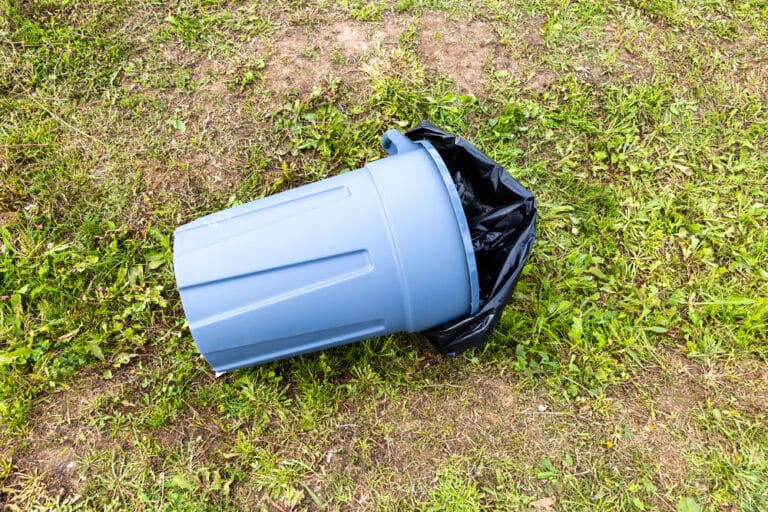 „Ronaldo” z ul. Warszawskiej zamiast piłki kopał śmietnik. Nie udało mu się zwiać przed policją