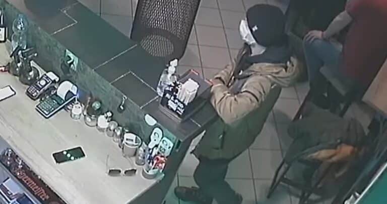 Złodziej ukradł w Olsztynie… pingwina. Właściciel prosi o pomoc