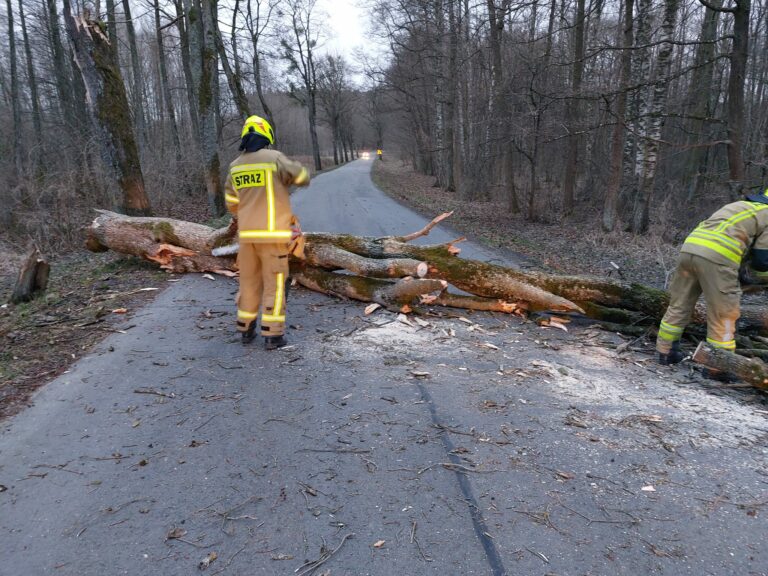 190 interwencji strażackich związanych z silnym wiatrem