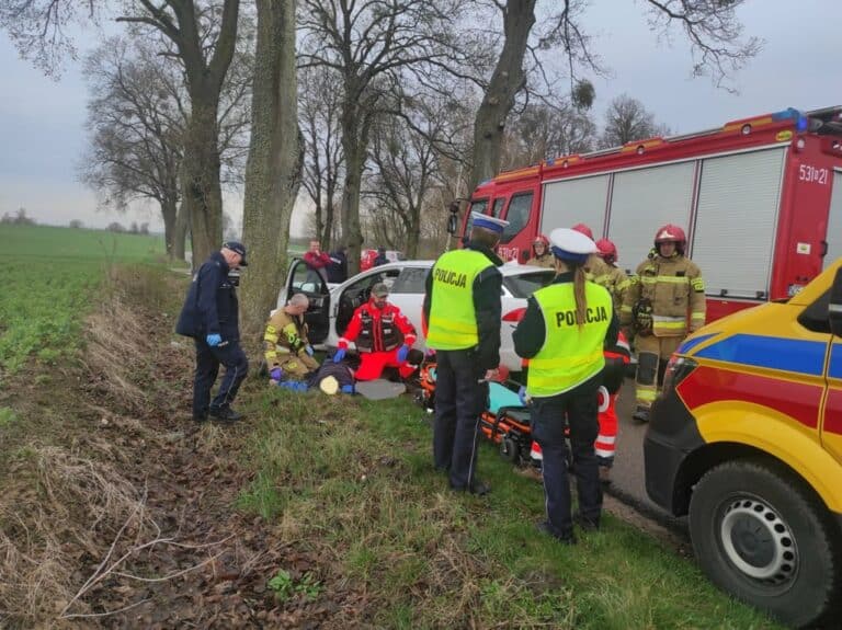 Jaguarem wjechał w drzewo