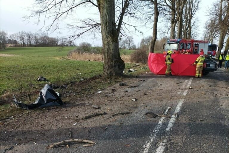 Samochód uderzył w drzewo. Zginął kierowca