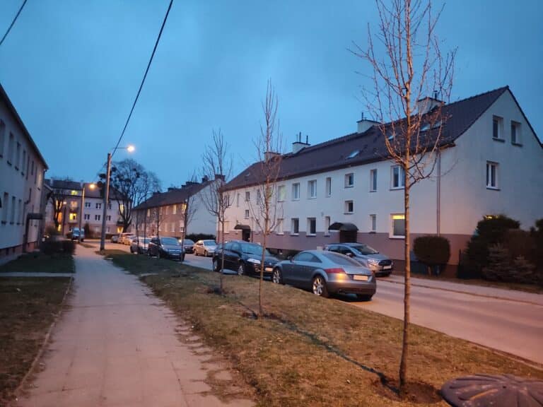 Nowe drzewa za torami