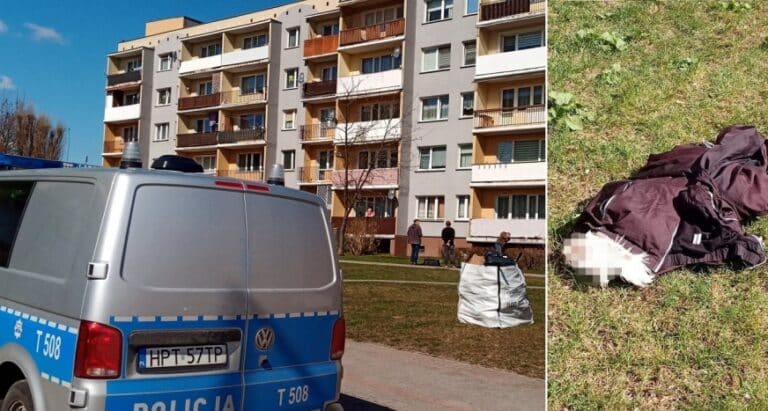 Pies wyrzucony z 4. piętra? Nie przeżył upadku